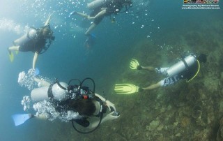 Expedition Borneo May 2016