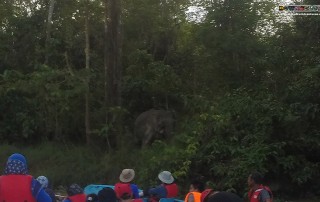 Expedition Borneo May 2016