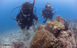 Scouts On Scuba at Downbelow