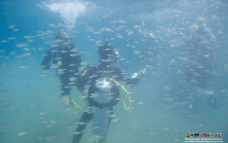 Expedition Borneo March 2016