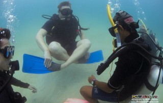 Expedition Borneo March/April 2015