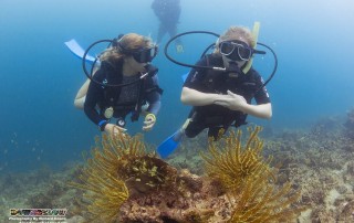 Expedition Borneo September 2015