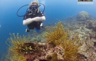 Expedition Borneo September 2015