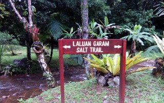 Expedition Borneo September 2015