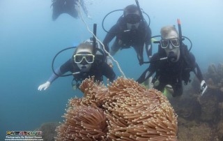 Expedition Borneo February 2016