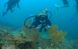 Expedition Borneo February 2016