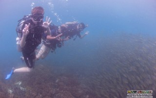 Scouts On Scuba at Downbelow