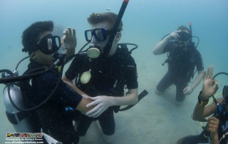 Scouts On Scuba at Downbelow