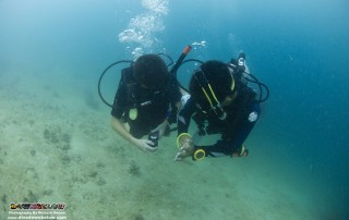 Scouts On Scuba at Downbelow