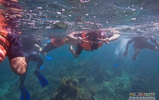 AMCTM Trade Show Visits Downbelow