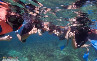 AMCTM Trade Show Visits Downbelow