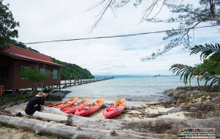 Camps International 2015 - Anggur
