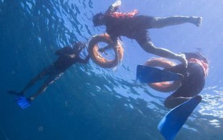 AMCTM Trade Show Visits Downbelow