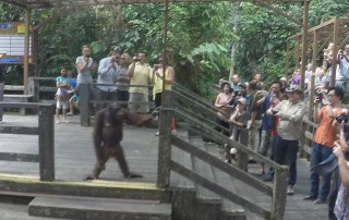 Expedition Borneo March 2016