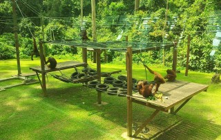 Expedition Borneo February 2016