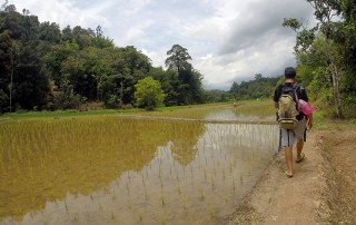 Expedition Borneo October 2015