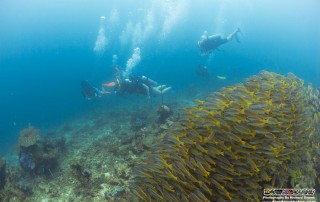 Expedition Borneo October 2015