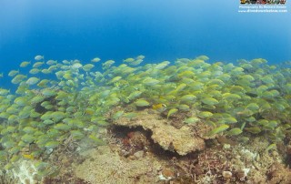 Expedition Borneo October 2015