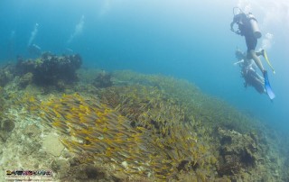 Expedition Borneo October 2015