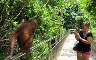 Expedition Borneo March 2015