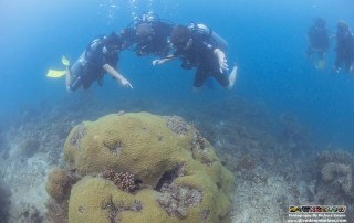 Scouts On Scuba at Downbelow