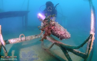 Wreck Dive Site Kota Kinabalu Sabah
